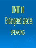 Unit 10 - Speaking - 12 CB