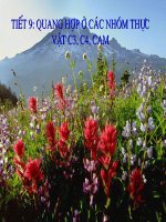 Bài 9 Sinh 11: Quang hợp ở C3, C4 và CAM