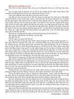 [Danh Nhân Việt Nam] Tiểu Sử Phan Đình Phùng phần 9 docx