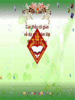 bai 24 phan lon nuoc vao cay di dau ?