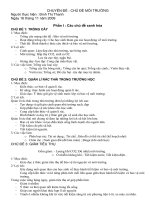 Chuyên đề : Xanh hóa trường học