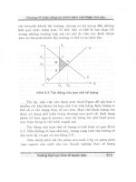 Giáo trình kinh tế công cộng part 9 pps