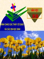 bai; Ảnh hưởng của môi trường lên sự biểu hiện của gen