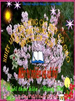 phong tranh ngo doc khi o nha- TH vu TRung