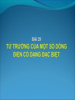 Bai giang Tu truong cua mot so dd co dang dac biet