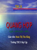 Bài giảng SH 6 - Quang Hop
