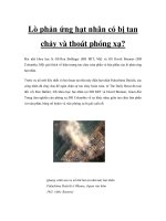 Lò phản ứng hạt nhân có bị tan chảy và thoát phóng xạ? doc