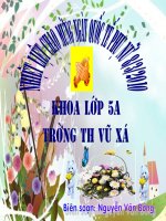 Su sinh san cua thuc vat co hoa (tiet 52- tuan 26)