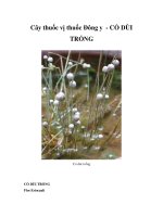 Cây thuốc vị thuốc Đông y - CỎ DÙI TRỐNG pdf