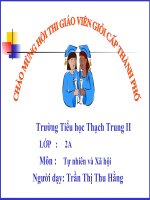 mot so loai cay song tren can