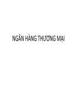 Báo cáo: Ngân hàng thương mại pot