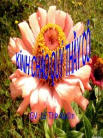 giới thiệu chung về hệ thần kinh