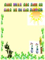 Chiến thắng lịch sử điện biên phủ ( cực hay)