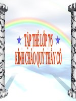 số vô tỉ (thi GV giỏi)