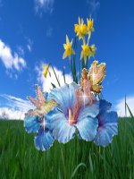 Bài 13. Giaói thiệu tỉ lệ khôn mặt người