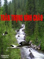 Trụ não, tiểu não, não trung gian