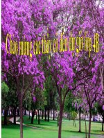 luyen tap cau ke ai la gi ?