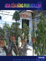 April music - Bản nhạc Tháng Tư