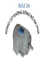 DONG CO BA PHA