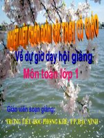 T1 (tuần26): Các số có 2 chữ số- tiết1