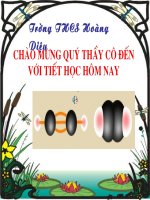 Tiet 47 ·ETILEN - Hoa hoc 9