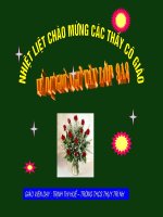 Cố hương - văn 9