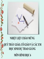 Tia phân giác của 1 góc - Linh