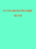 Các vùng sinh thái nông nghệp Việt Nam