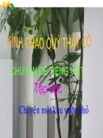 TĐ Chuyện một khu vườn nhỏ