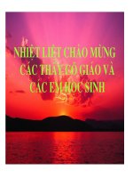 Giao an thi GVG tinh BN 09-10