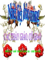 Quyết -cây dương xỉ