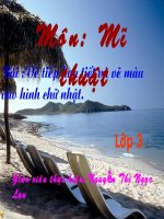 Bài họa tiết vẽ mẫu vào hình chữ nhật