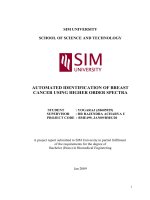 Automated identification of breast cancer using higher order spectra