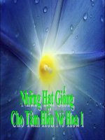 hay lắm ne`$$$$???