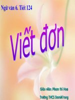 viet don
