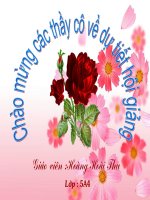 Thực hành tổng hợp T2 lớp 5