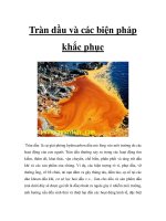 Tràn dầu và các biện pháp khắc phục ppsx