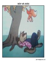 KC 2: SÓI VÀ SÓC
