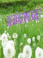 QUANG SPCN B:32 CN 7