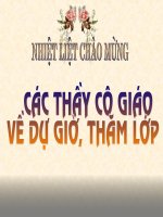 Câu Long Biên chung nhan lich su