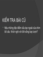 Tiết 47- Cấu tạo trong của chim bồ câu