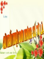 cau tran thuat don co tu la