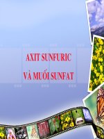 AXIT SUNFURIC VA MUOI SUNFAT