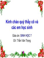 cac bo mong guoc va bo linh truong