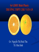 bài 29. cau truc cac loai virut