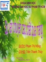 sự vận chuyển các chất ở màng tế bào