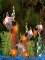 29 chữ cái ngộ nghĩnh cho bé yêu