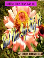 CHỦ ĐỀ:6. CÁC HƯỚNG ĐI SAU KHI TỐT NGHIỆP