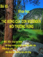 Tác động của con người đến môi trường rừng