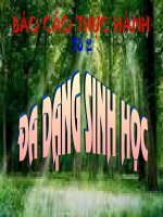 bài 6 đa dạng sinh học